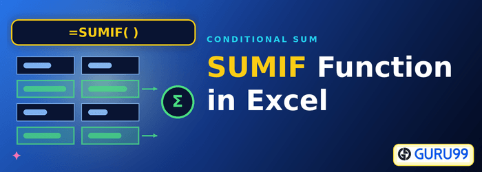 SUMIF Function in Excel
