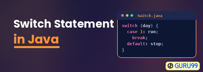 Switch Statement in Java
