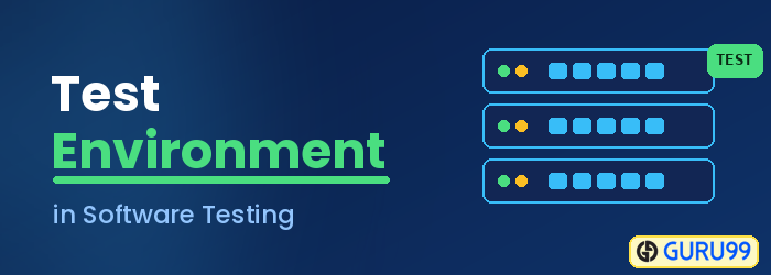 Test Environment in Software Testing