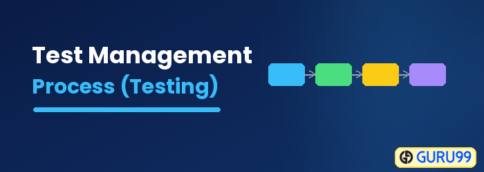 Test Management Process in Software Testing