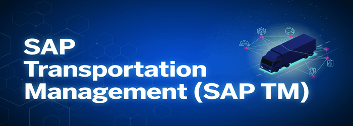 SAP TMS (Система управления транспортом)