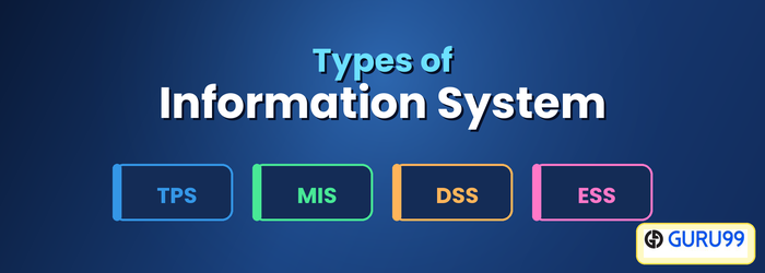 Types of Information System: MIS, TPS, DSS, Pyramid Diagram