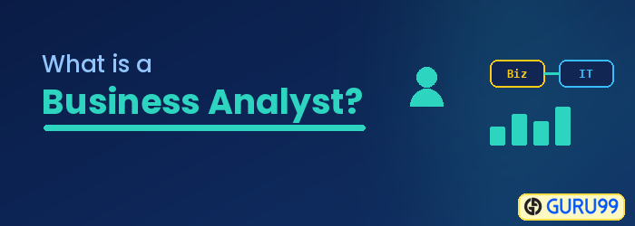 What is a Business Analyst