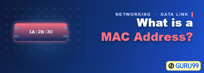 什么是网络中的MAC地址?
