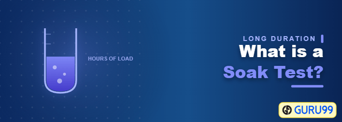 What is a Soak Test