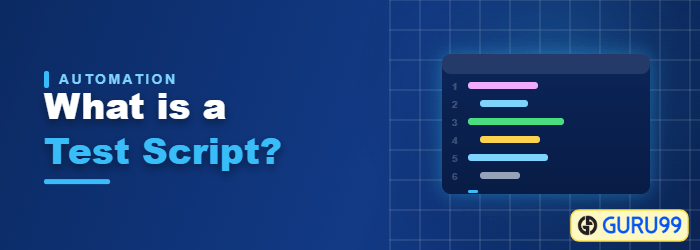 What is a Test Script