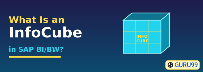 What is an InfoCube in SAP BI/BW