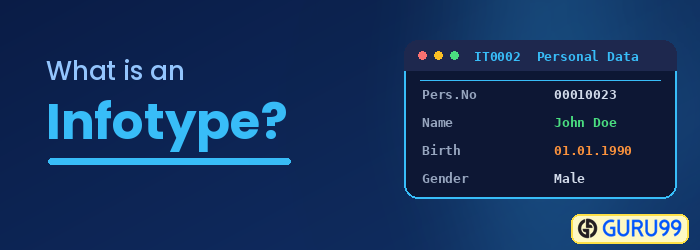 What is an Infotype