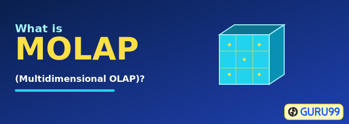 What is MOLAP
