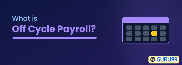 Off-Cycle Payroll in SAP HR