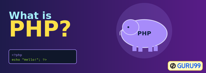 What is PHP?