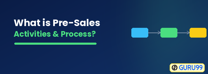 What is Pre-Sales Activities and Process in SAP