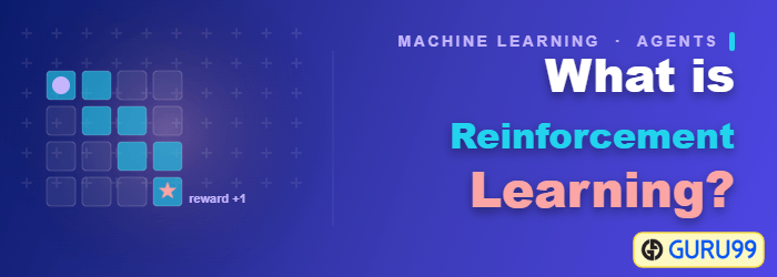 Reinforcement Learning: algorithms, types and examples