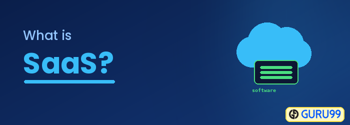 SaaS (Software as a Service)