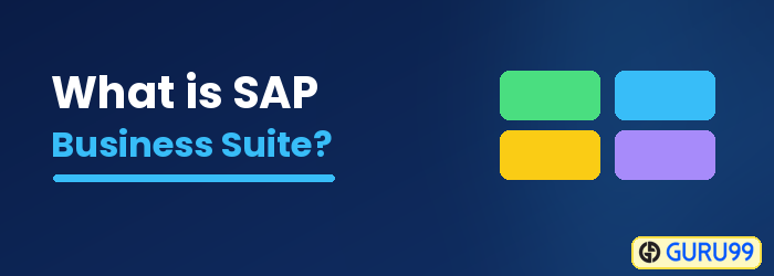 O que é a SAP Aplicações ERP do Pacote Empresarial