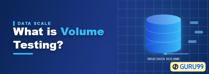 What is Volume Testing