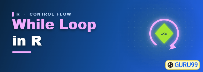 While Loop in R